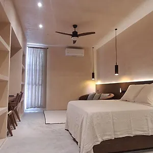 Mid-498 Centro México