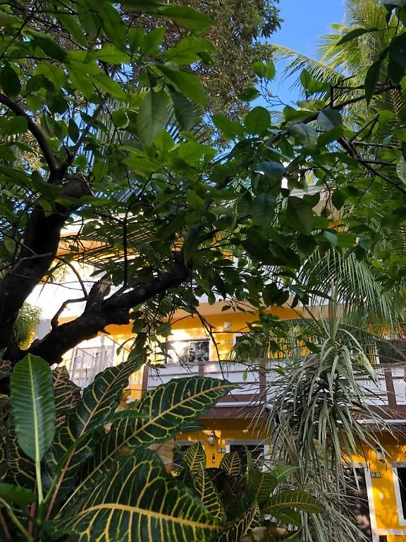 Beach Balance (Adults Only) Playa del Carmen Hotell